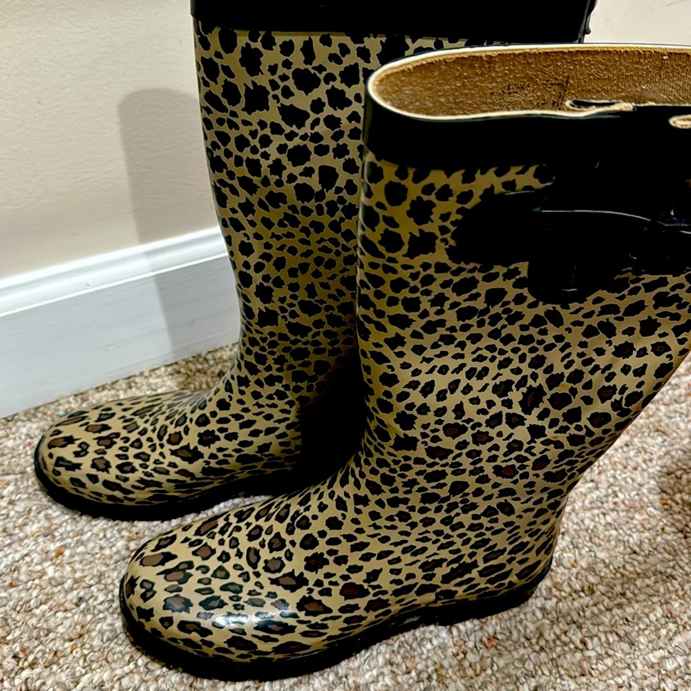 COOILLI NEW YORK SIZE 8, şaft and worm.